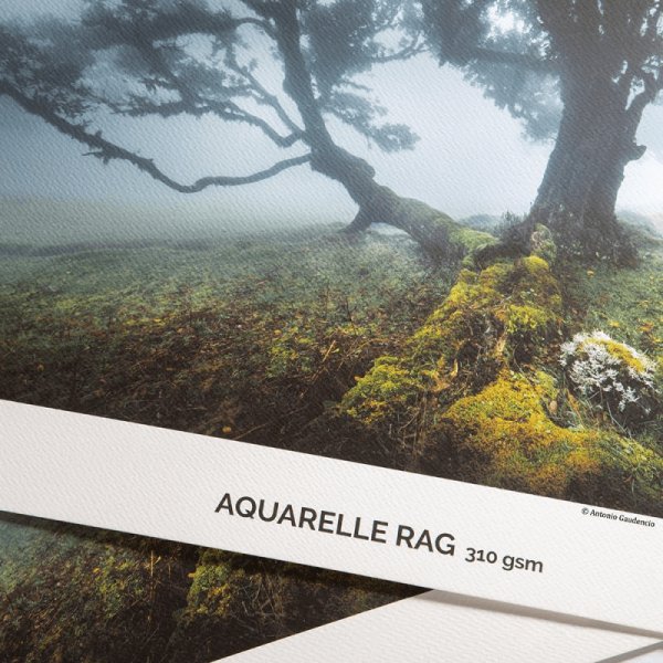 Canson Infinity Arches Aquarelle - 310gsm - Image 2