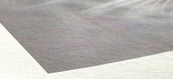 Hahnemühle Bamboo 290gsm - Eco-Friendly Fine Art Inkjet Paper - Image 2