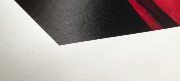 Hahnemühle FineArt Baryta Satin - Fine Art Inkjet Paper - Image 2