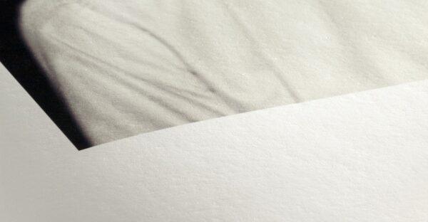Hahnemühle Photo Rag® Pearl 320 - Premium Fine Art Cotton Paper - Image 2