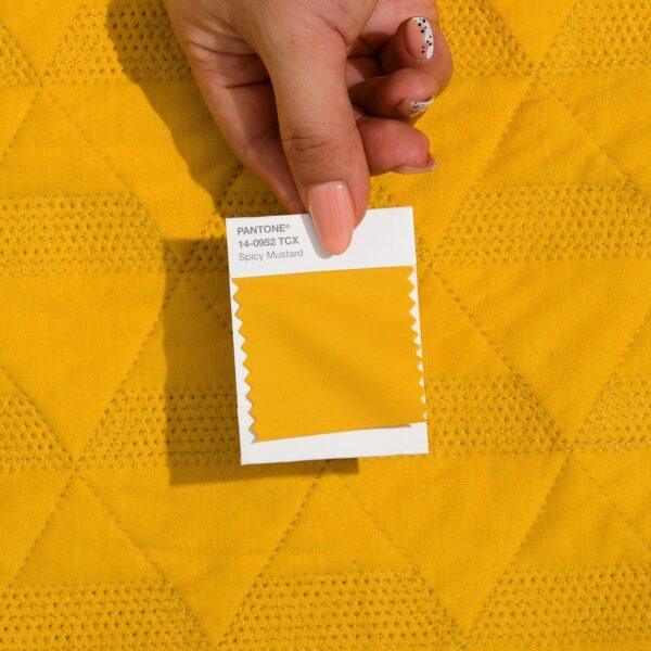 PANTONE Fashion, Home + Interiors Cotton Swatch Library - Image 4