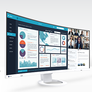 Eizo FlexScan Premium