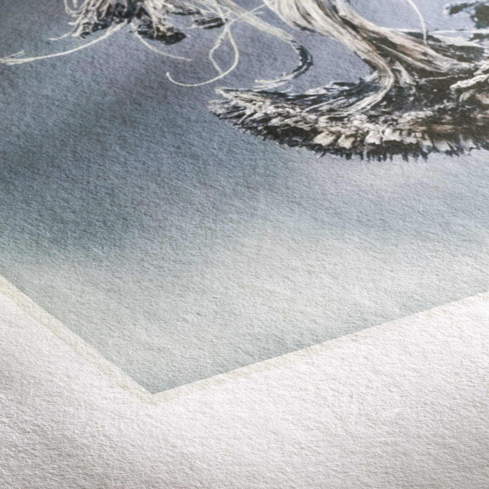 Hahnemühle Museum Etching paper showing felt texture