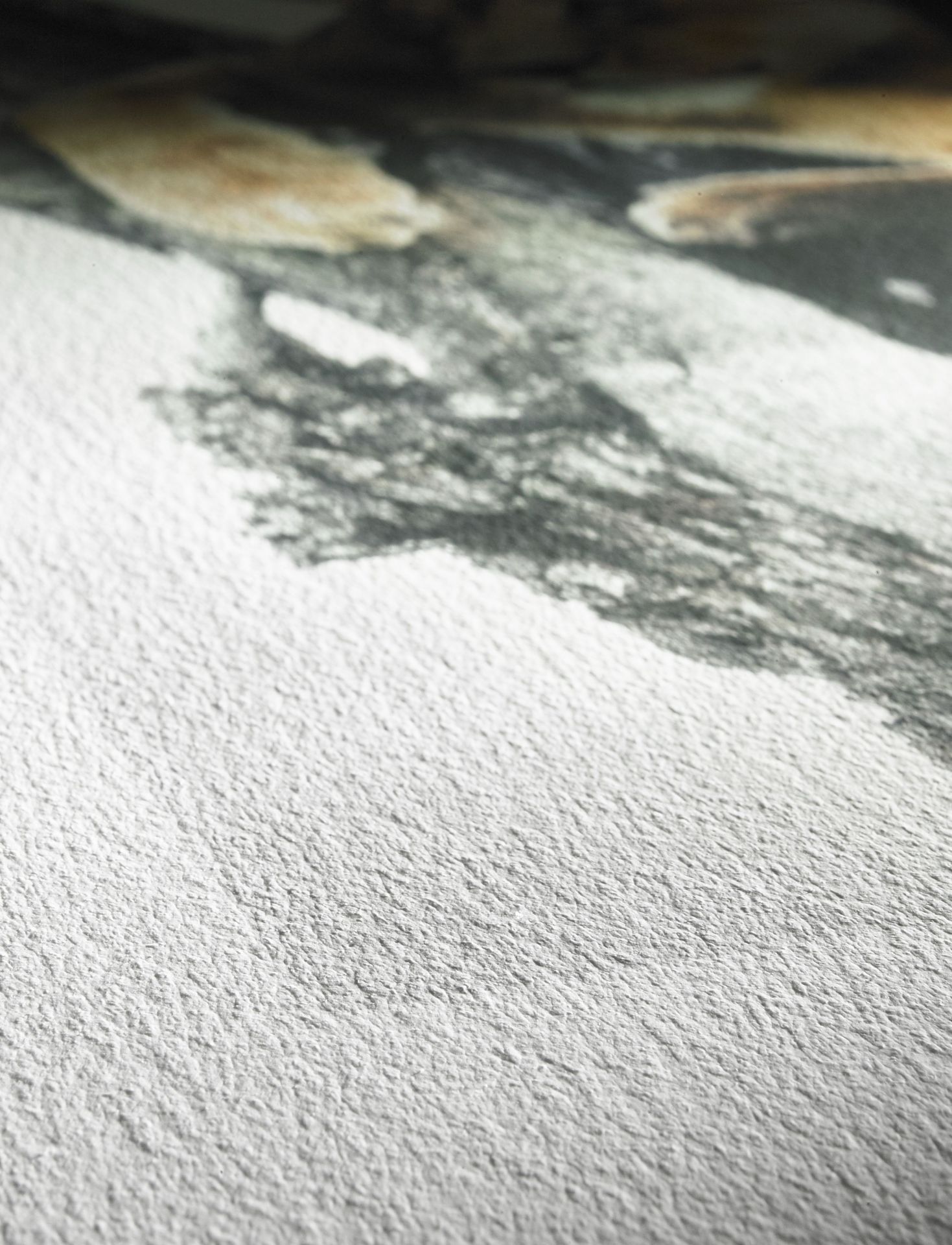 Hahnemühle German Etching copperplate texture